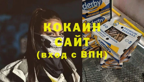 винт Арсеньев