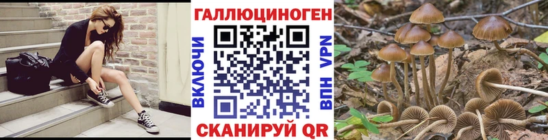 Псилоцибиновые грибы мухоморы  где можно купить   Суздаль 